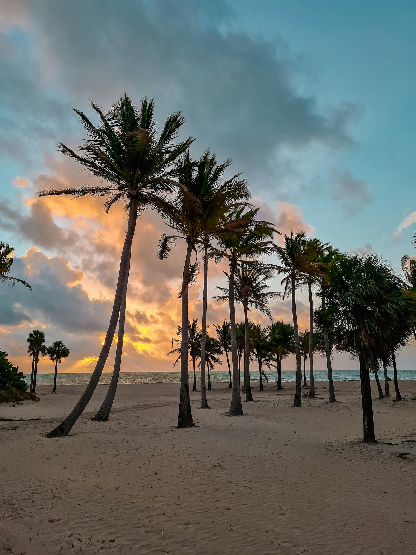 Florida sunset fashion portrait.