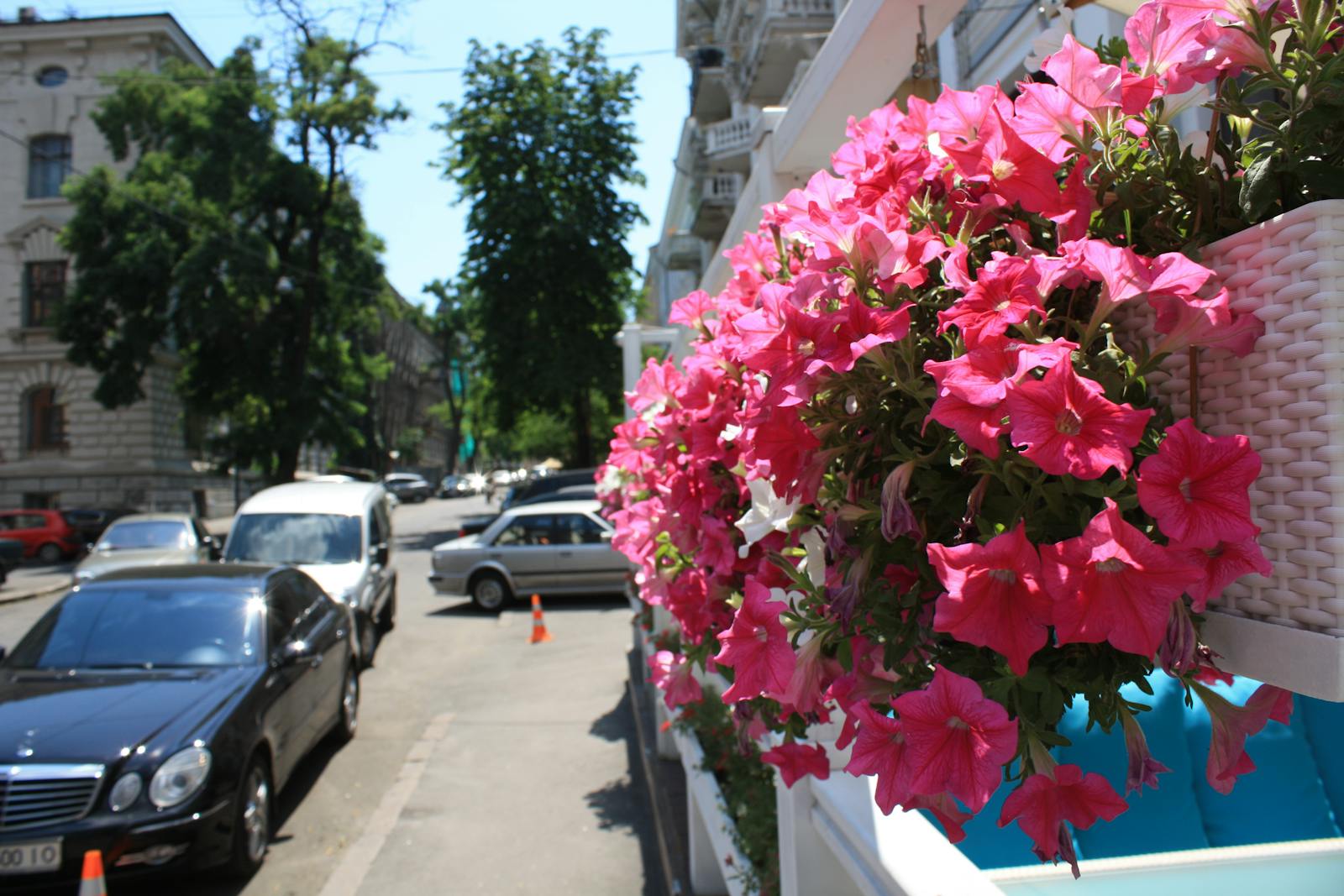 Japanese street fashion scene.